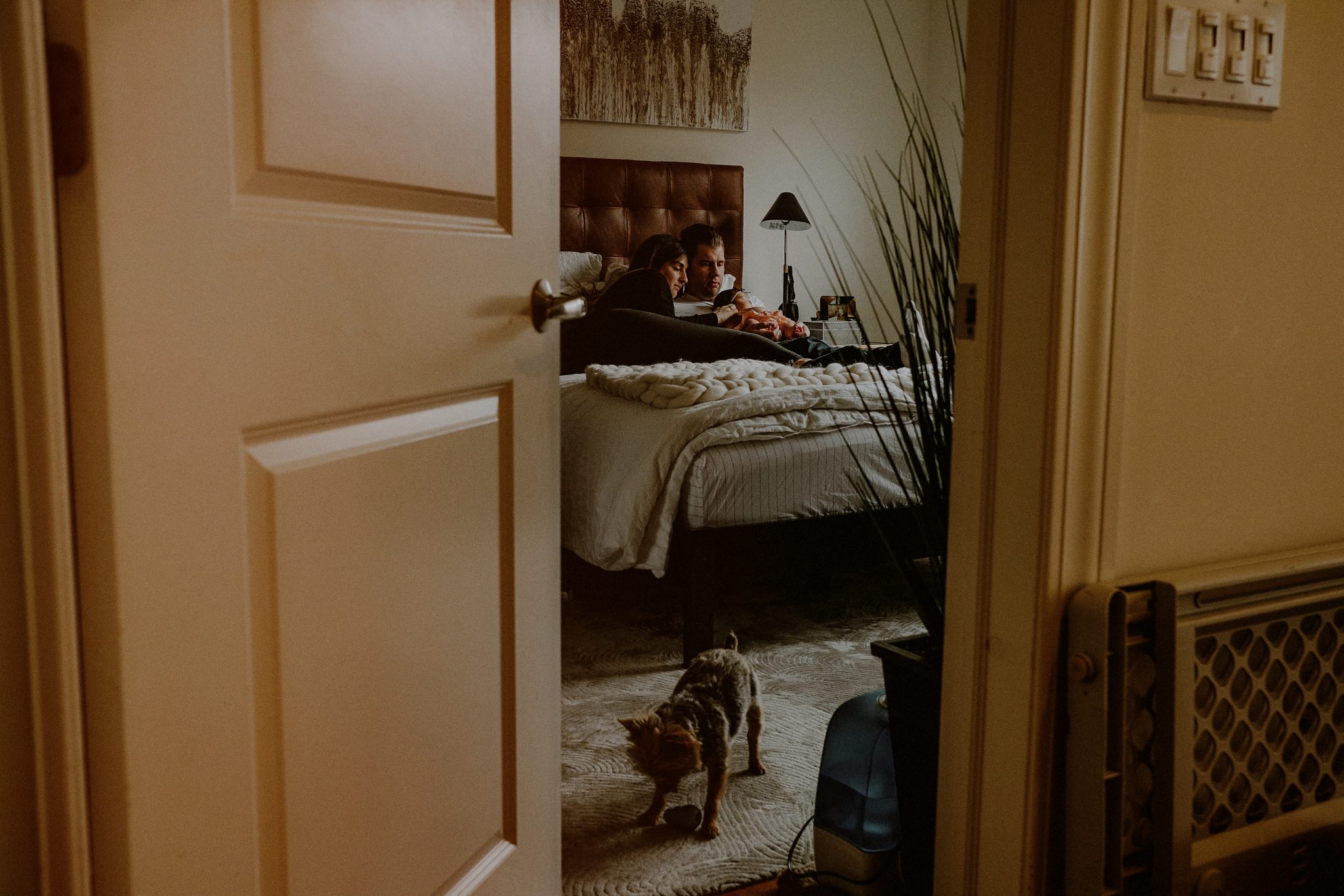 natural family photos of family on bed with newborn and dog playing on floor