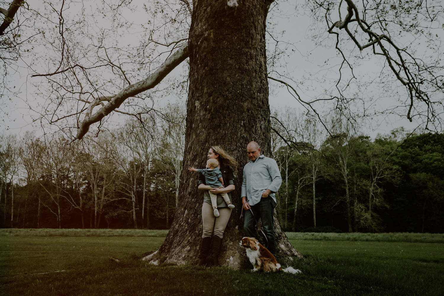 Spring family photo by tree at Natirar