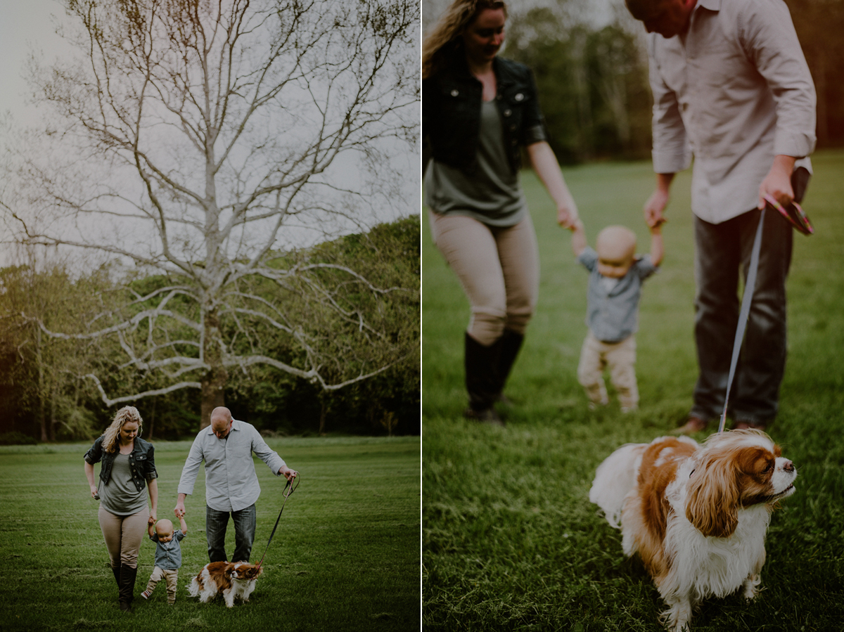 first birthday photos of family walking with son in park