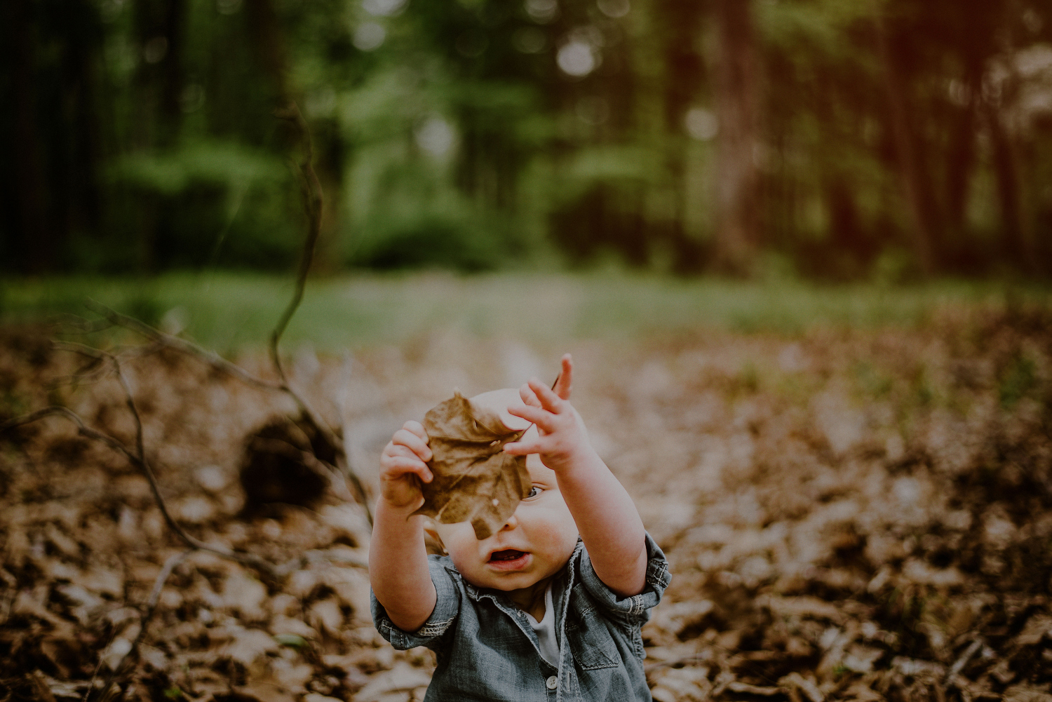 curious moment of toddler playing with leaf