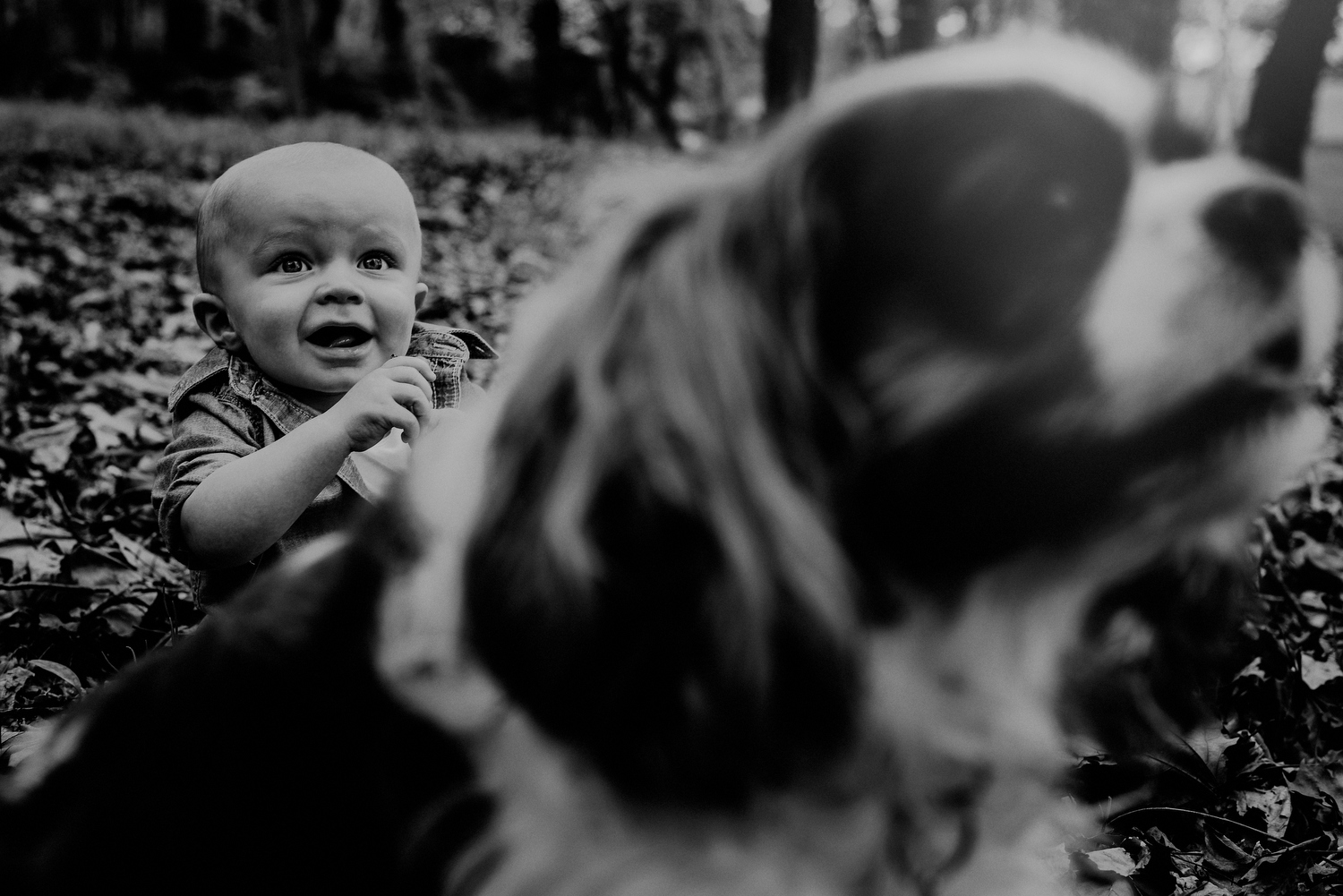 one year old boy and dog