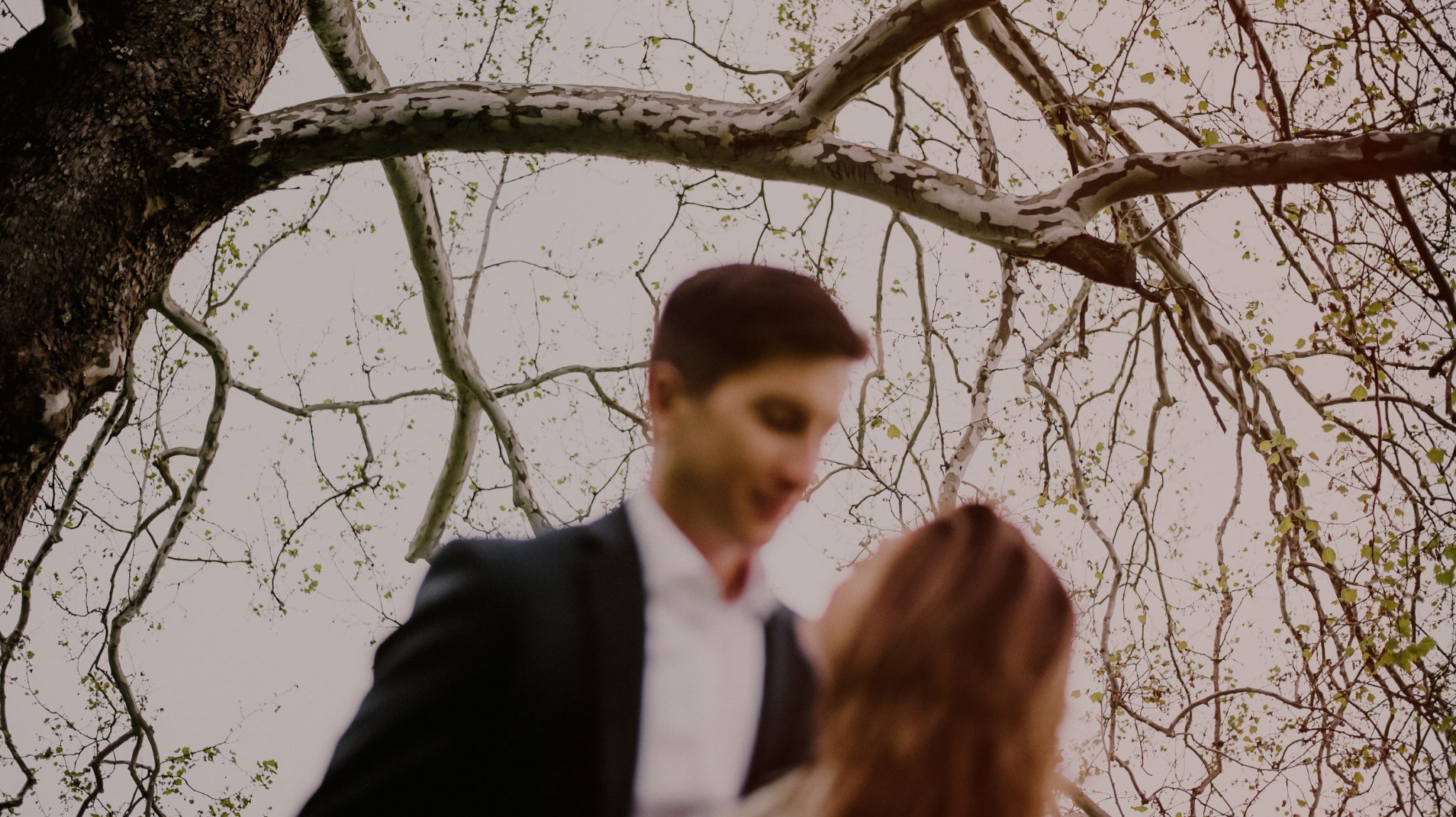 artistic photo of trees and couple