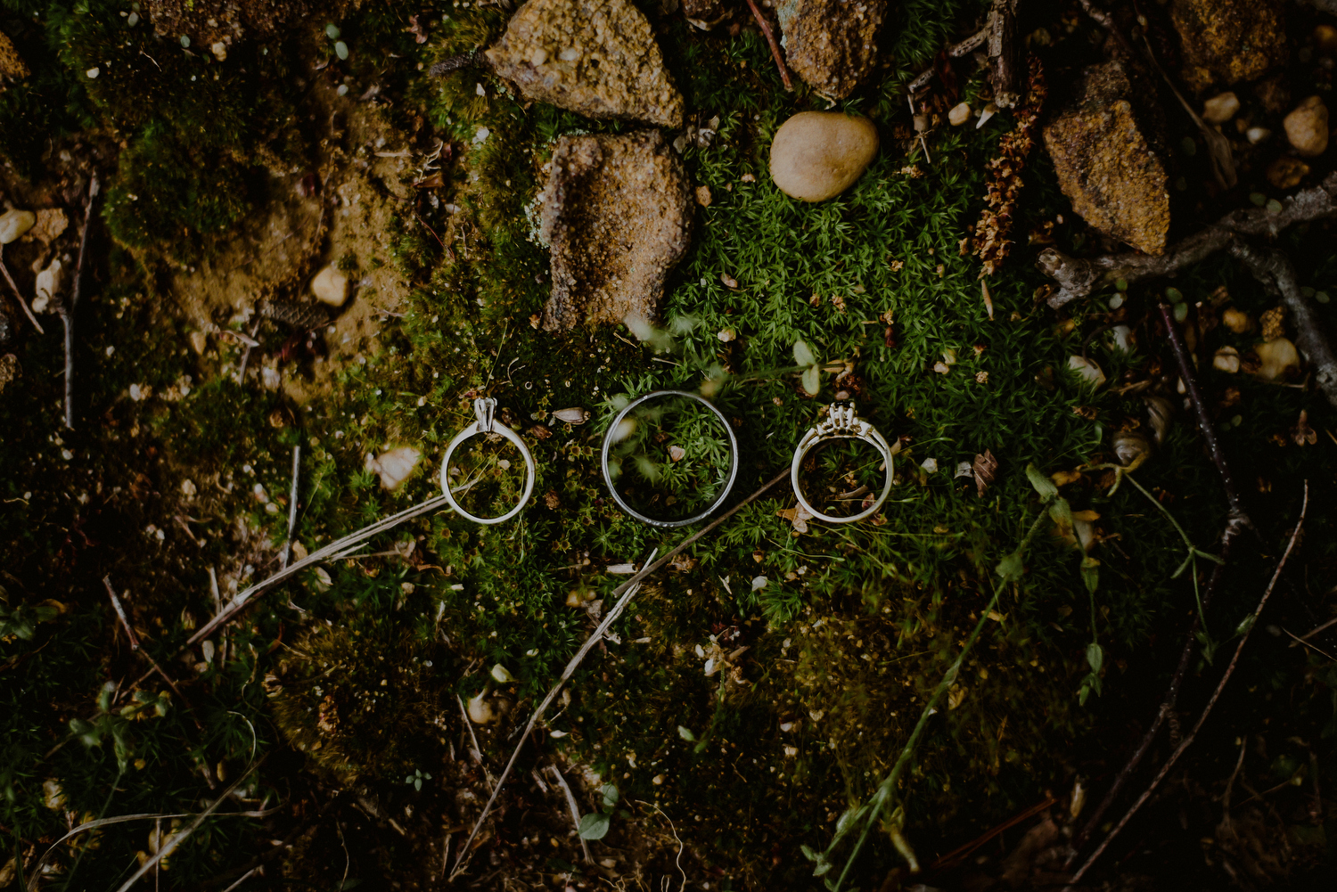wedding detail of rings on moss