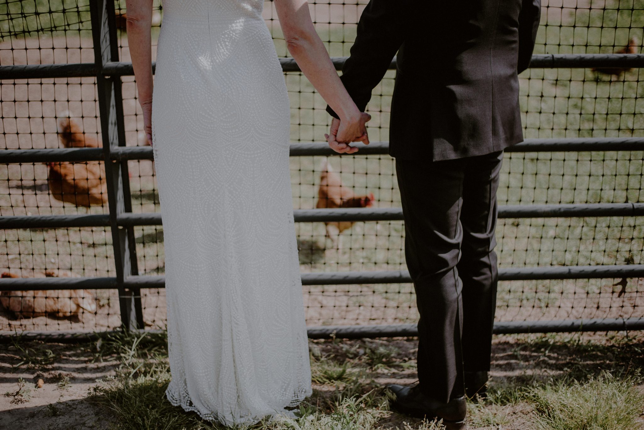 wedding at farm with animals in cape may nj