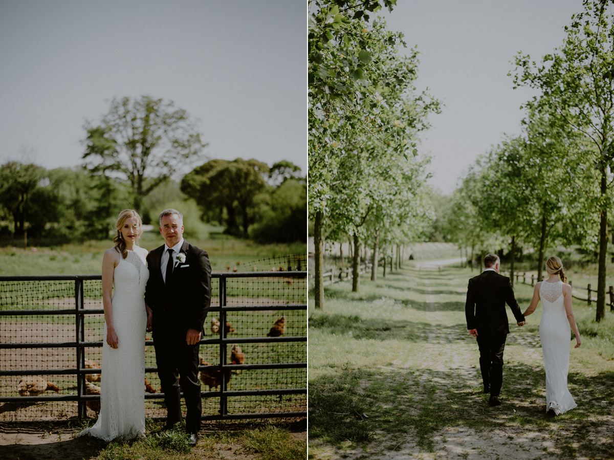 wedding portraits with farm animals