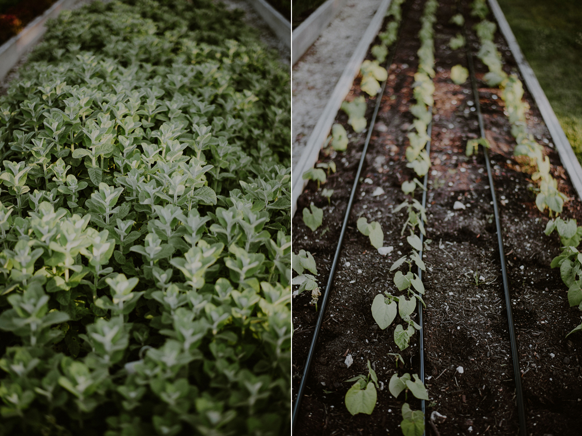 farm to table wedding in cape may nj