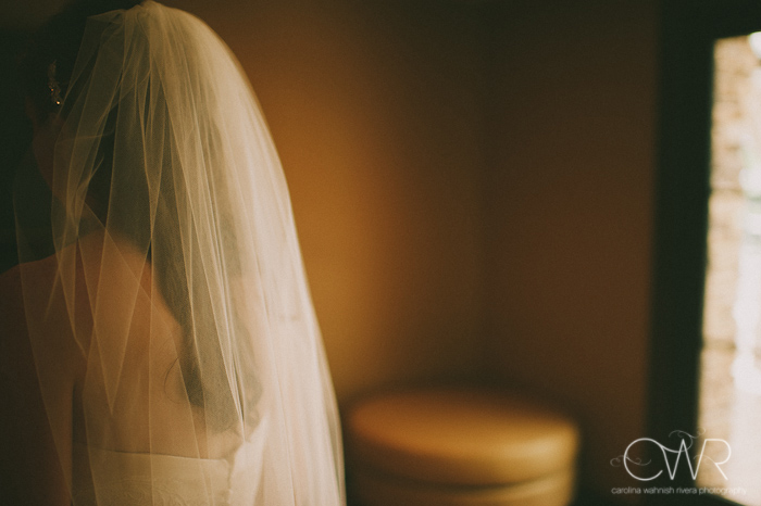 Lake House Inn Perkasie PA Wedding: glimpse of bride's veil