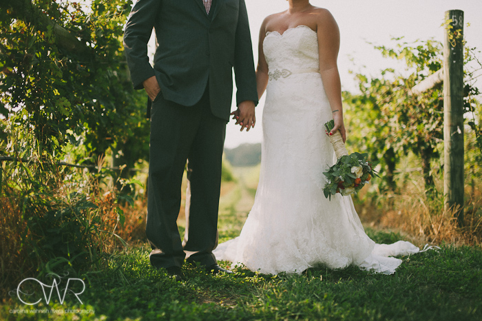 laurita winery wedding: bride and groom in vineyards holding hands