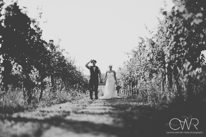 laurita winery wedding: bride and groom portrait in vineyards from far away