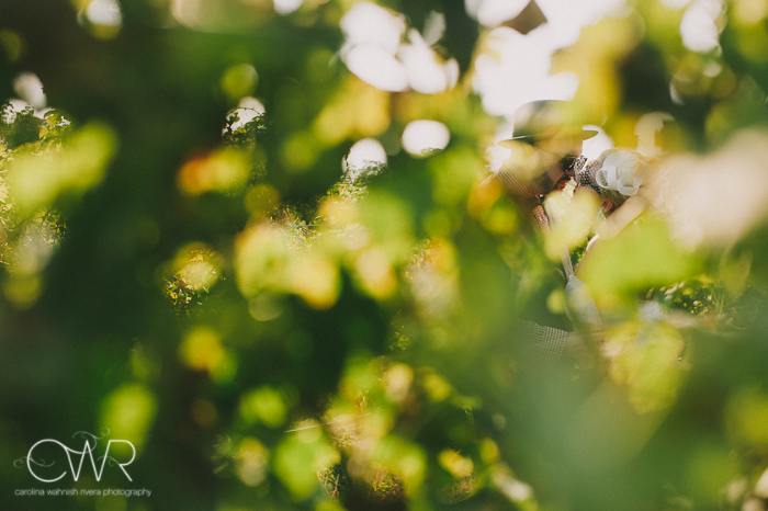 laurita winery wedding: bride and groom kissing in vineyards through leaves