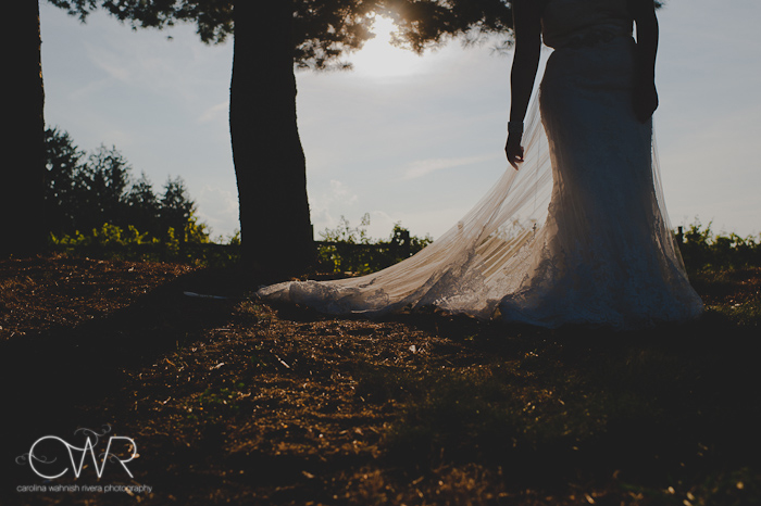 laurita winery wedding: bride silhouette picking up backlit dress