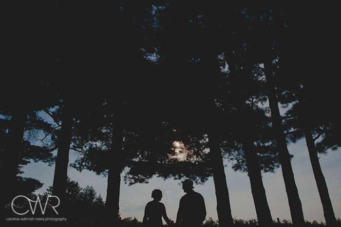 laurita winery wedding: bride and groom silhouetted by trees