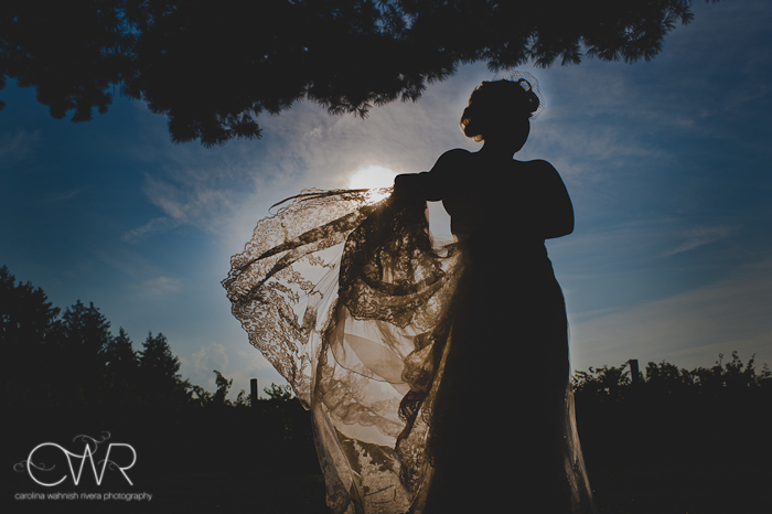 laurita winery wedding: bride with flowing dress in silhouette and backlit