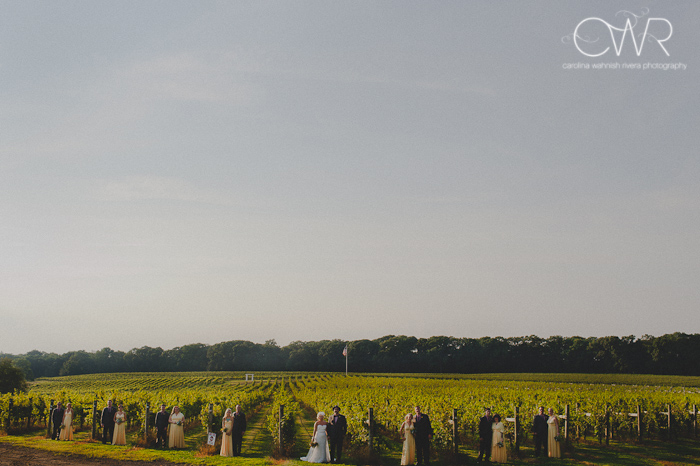 laurita winery wedding: bridal party in vineyards