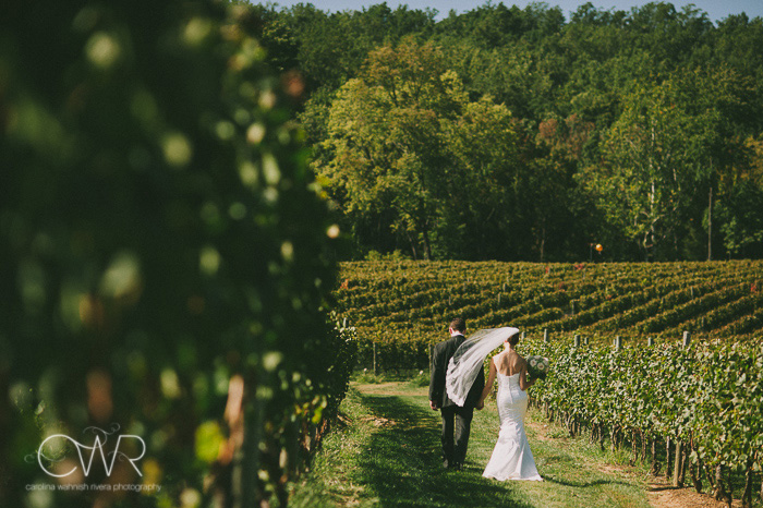 alba vineyard wedding