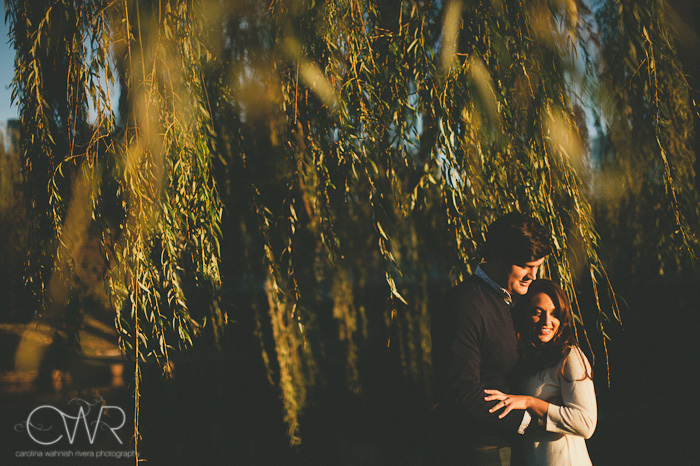 creative engagement photos under Willow tree in Boston park