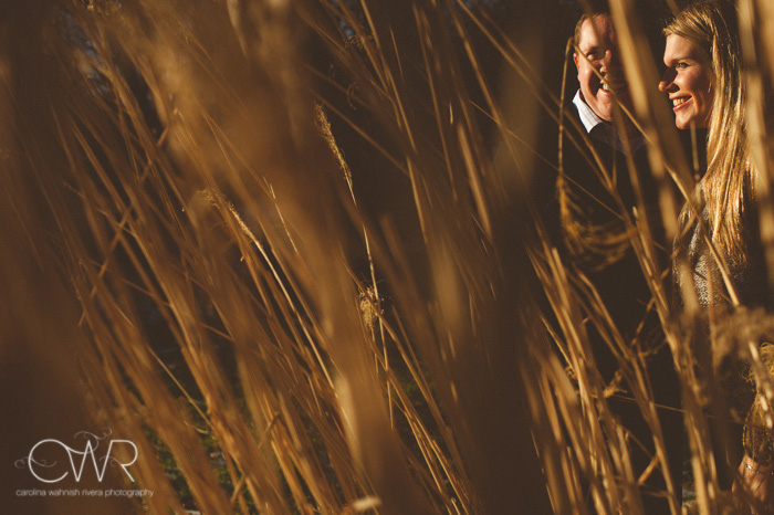winter engagement photos - chester new jersey portrait of couple through sunny tall grass