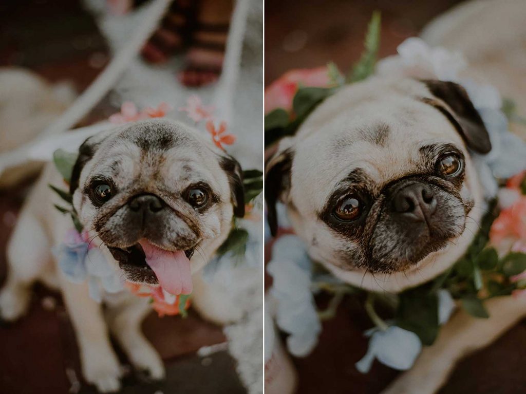 bridal pups at bonnet island wedding