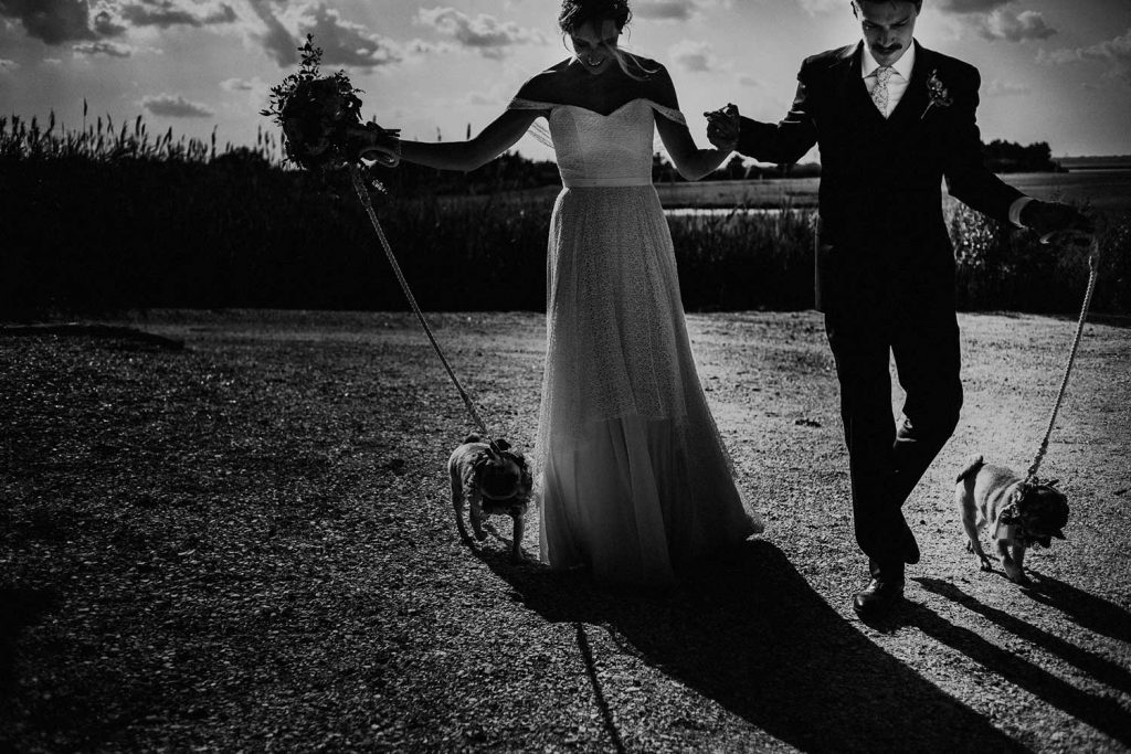 bride and groom walk with dogs outside of wedding venue in long beach island