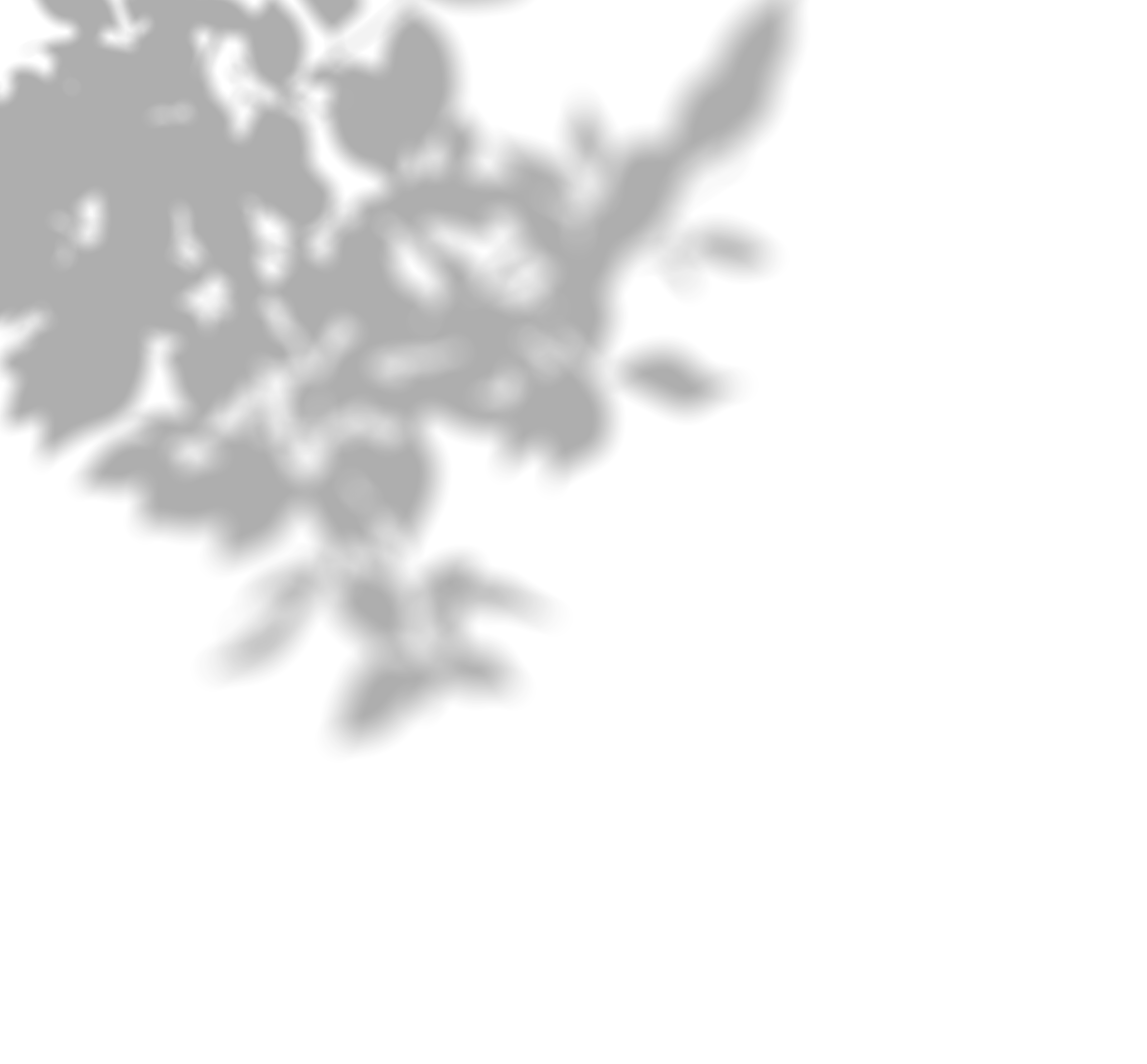 Shadow 8