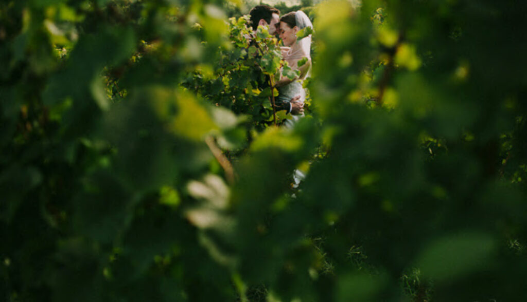 Alba Vineyard - Vineyard Wedding Venue in NJ