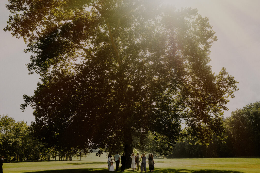 small intimate wedding ceremony elopement at natirar park under tree - Natirar Wedding Photos