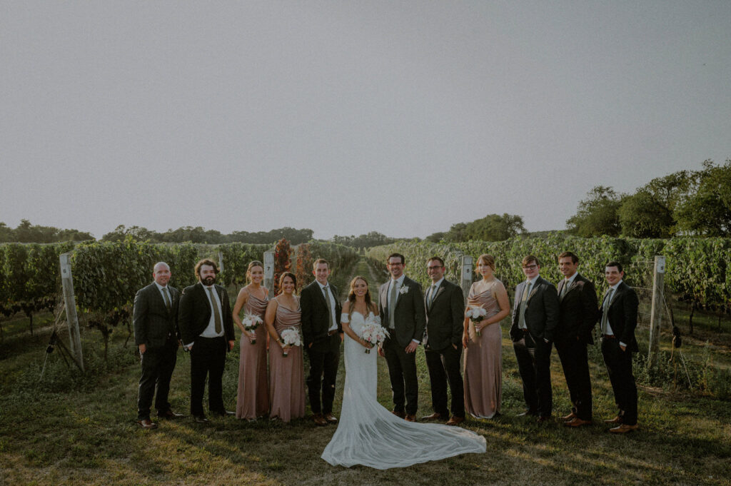 bridal party lined up in front of vineyard