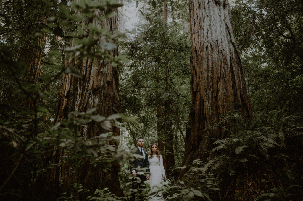 couple in wedding attire standing in the middle of redwood trees in california