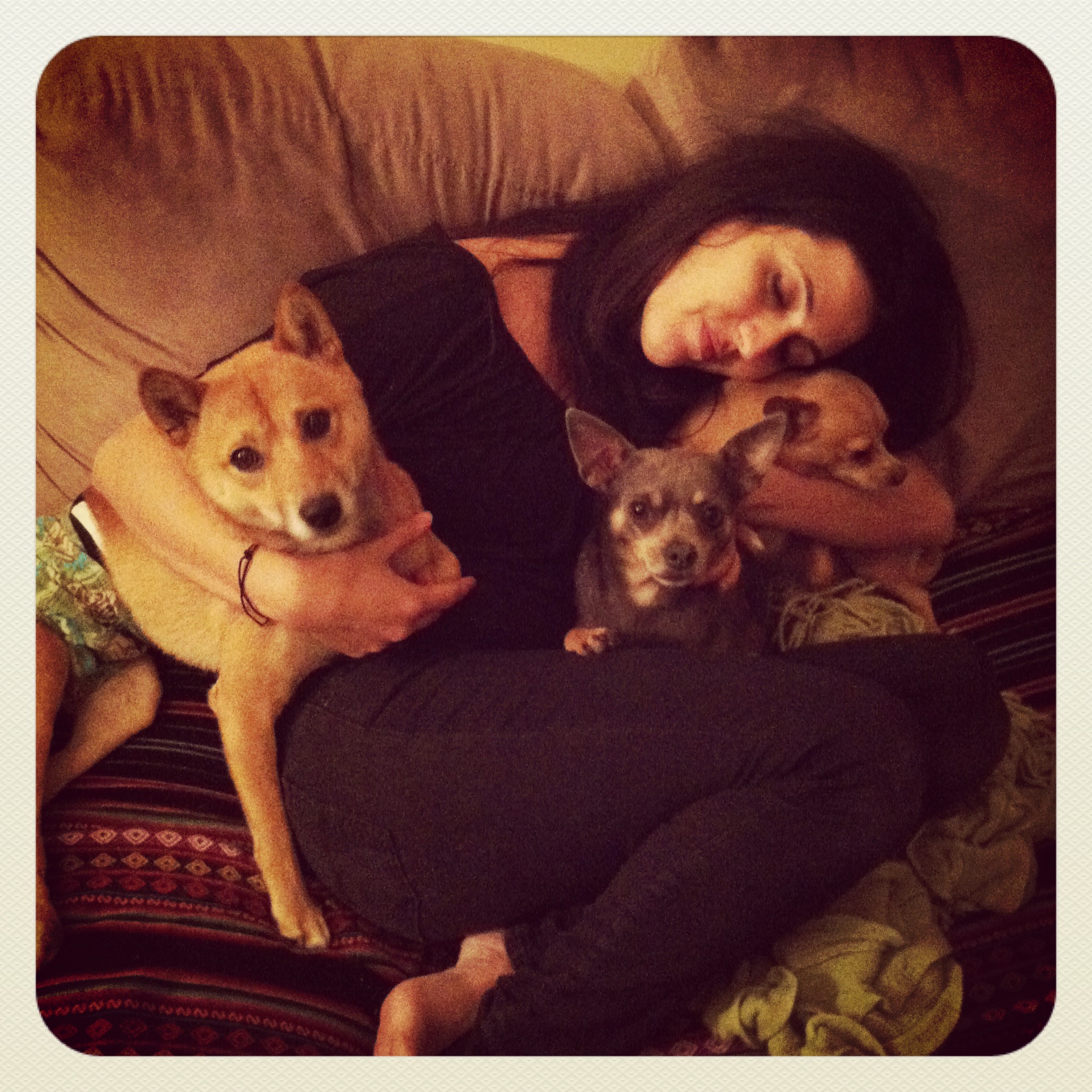 About Documentary Wedding Photographer Animal Lover Dogs