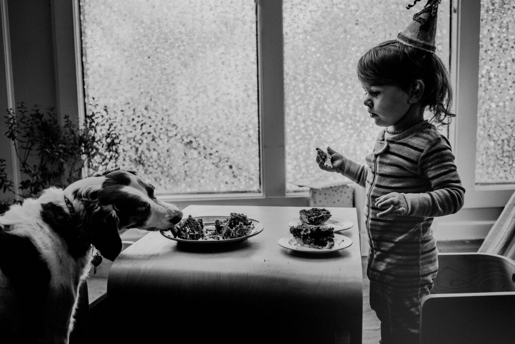 Child Celebrating Birthday And Dog Eating Cake