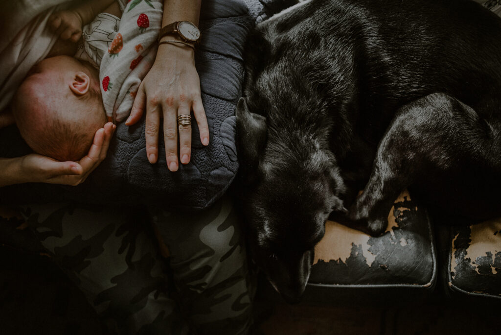 Intimate Moment Between Newborn And Dog During Family Photo Session