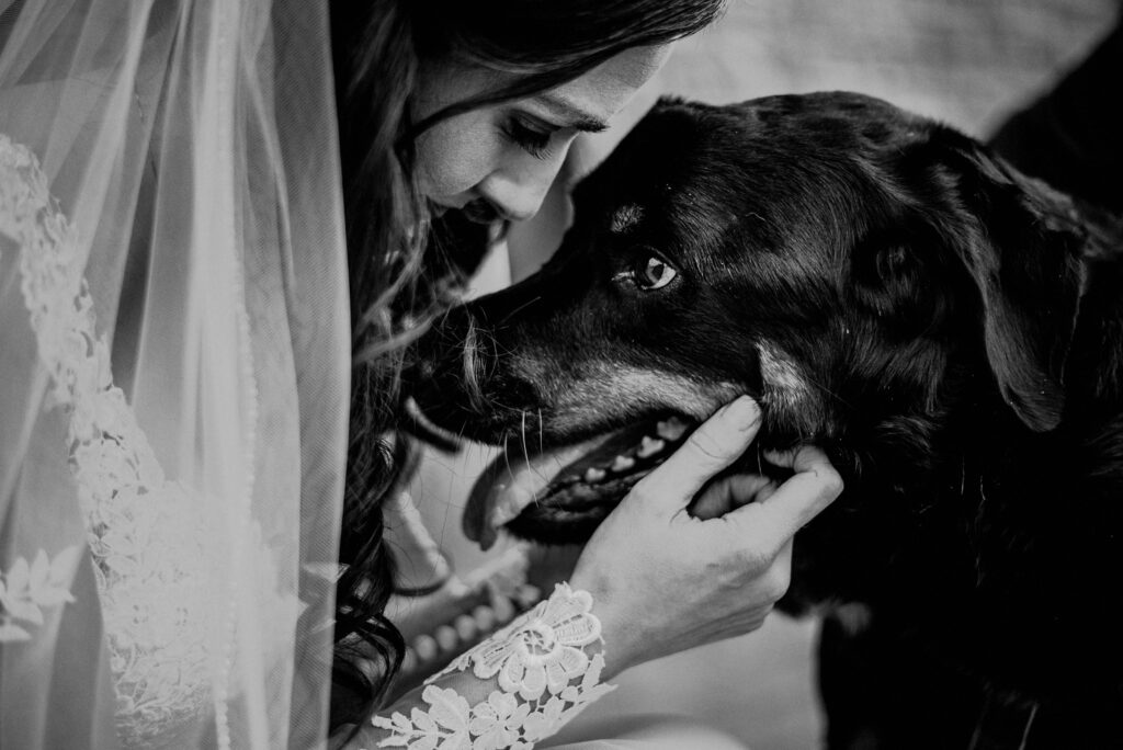 Private Moment Bride And Dog Wedding Photo